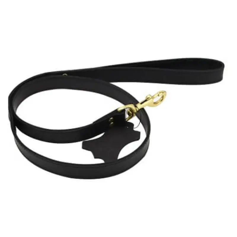 Bound Noir Nubuck Leather Leash Bondage Gear