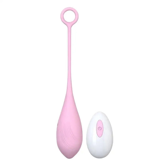 Loving Joy Remote Controlled Vibrating Egg Vibrators