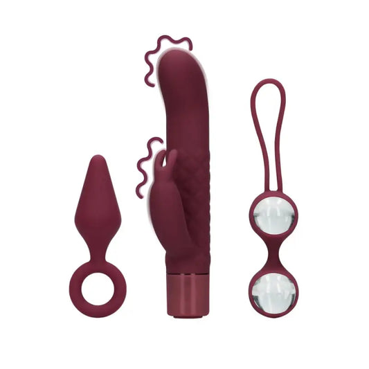 Sex Toy Kit for Her Vibrators